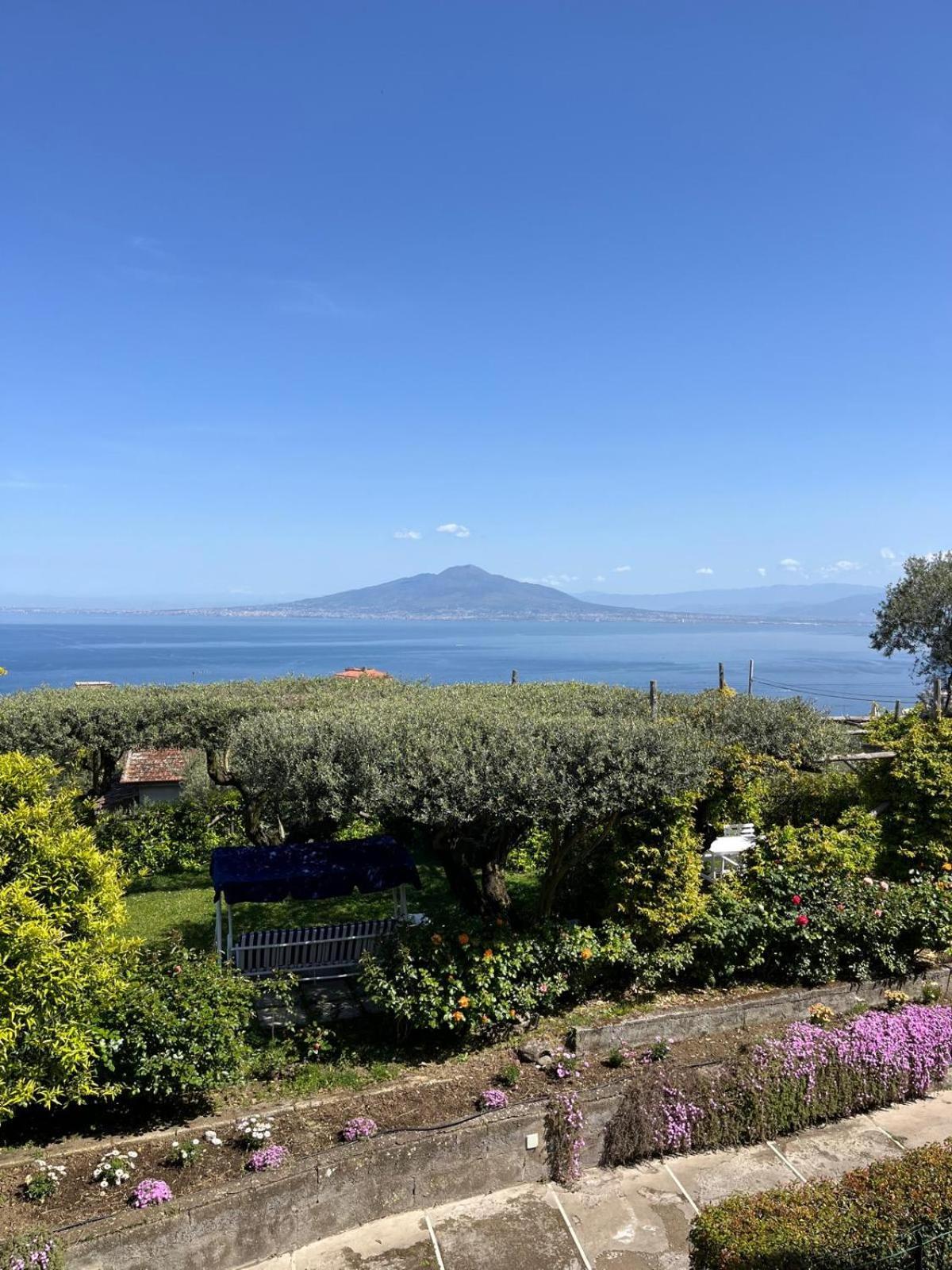 Sorrento Olive Tree Garden Hotel Exterior photo