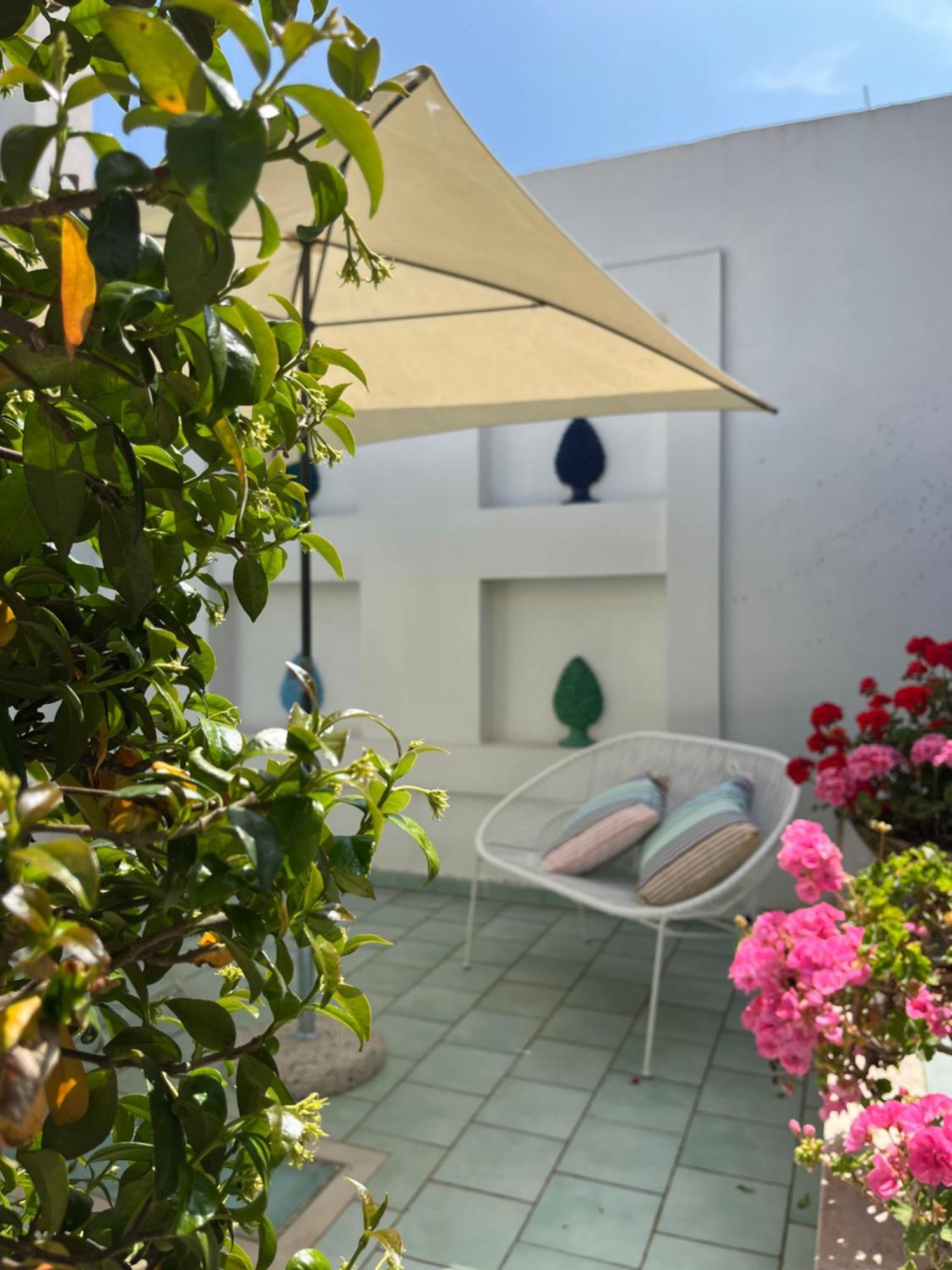 Sorrento Olive Tree Garden Hotel Exterior photo