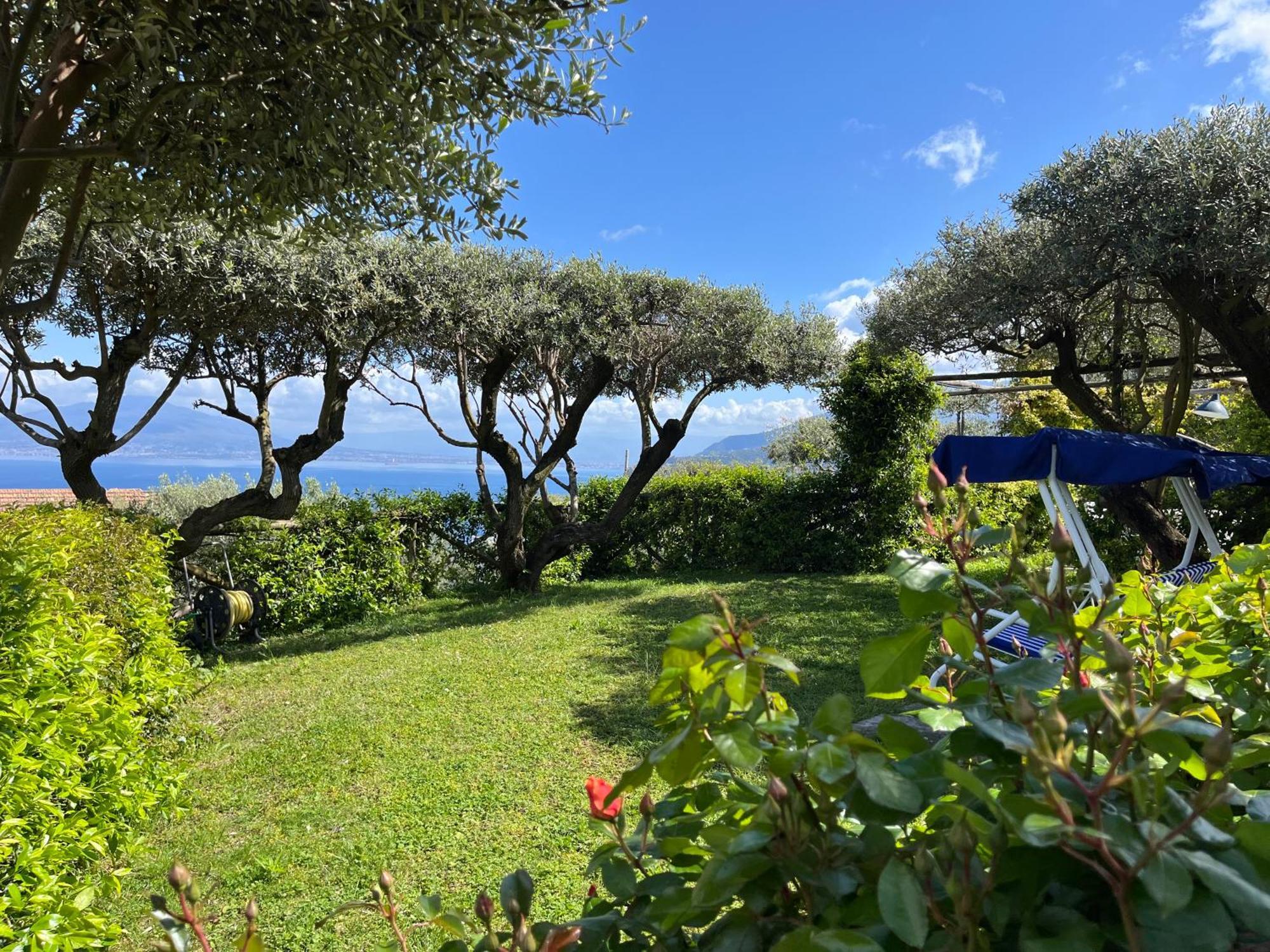 Sorrento Olive Tree Garden Hotel Exterior photo