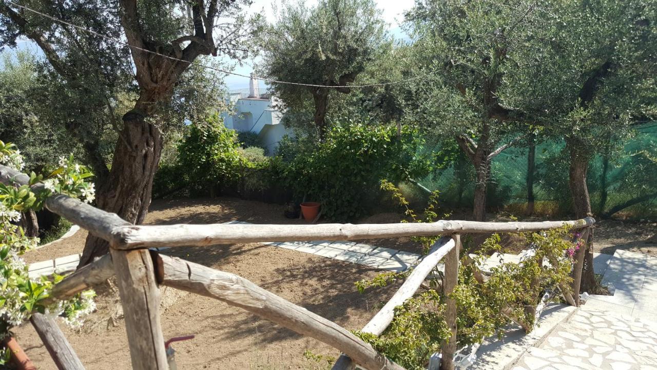 Sorrento Olive Tree Garden Hotel Exterior photo