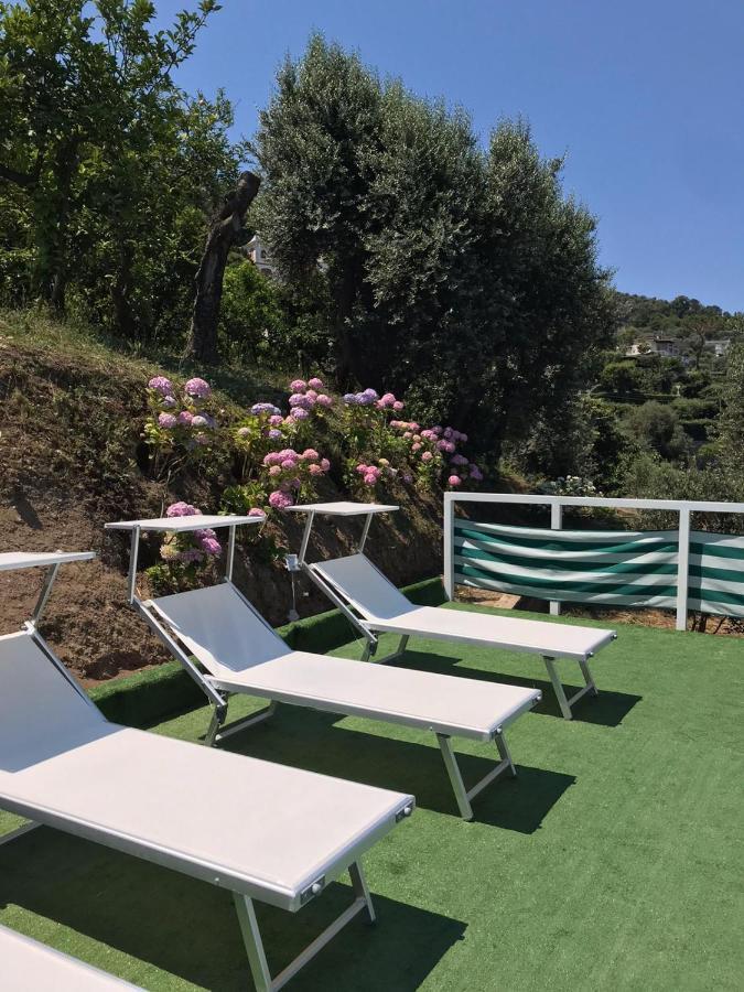 Sorrento Olive Tree Garden Hotel Exterior photo