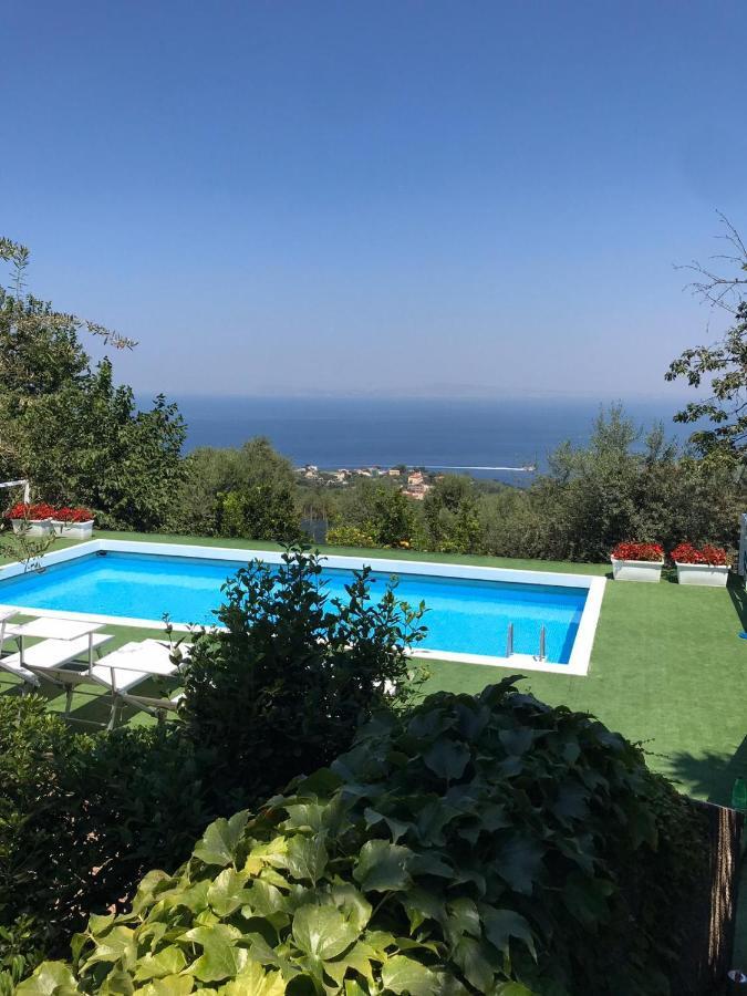 Sorrento Olive Tree Garden Hotel Exterior photo